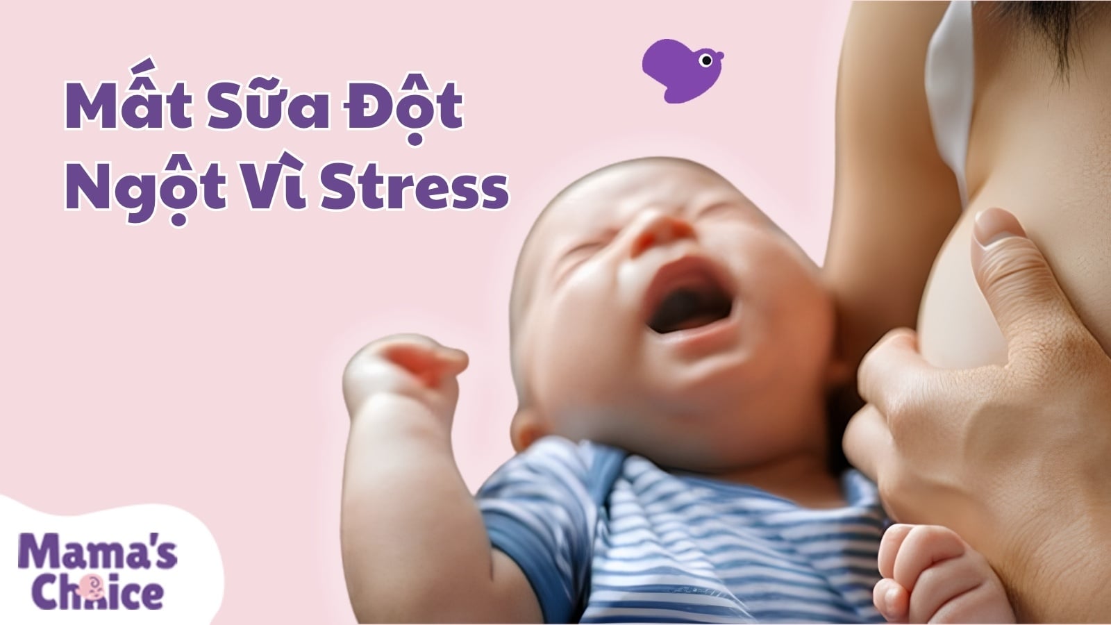 Mất Sữa Đột Ngột Vì Stress: Cơ Chế Khoa Học Và Cách Lấy Lại Dòng Sữa