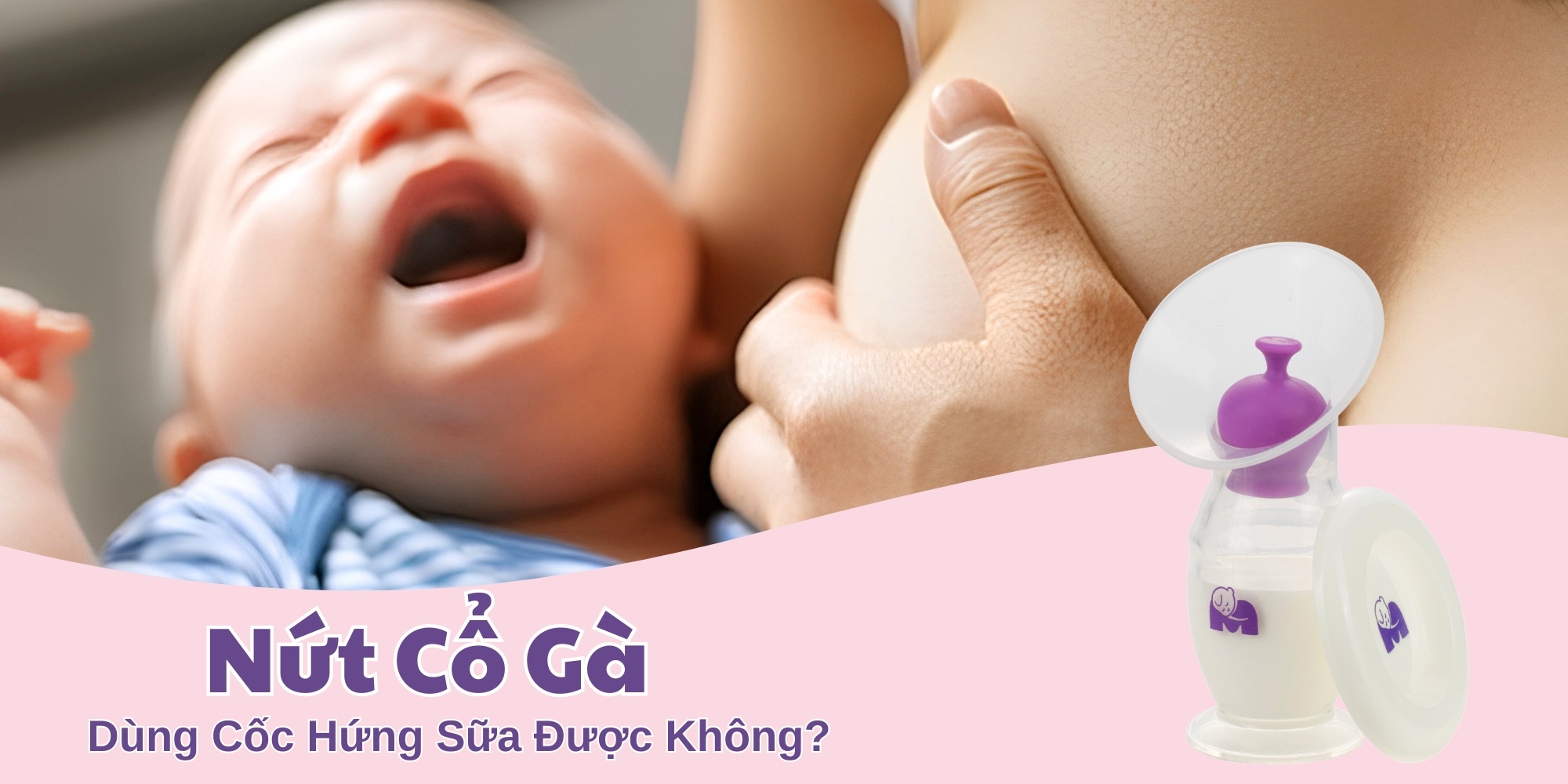 Nứt Cổ Gà Có Dùng Cốc Hứng Sữa Được Không?
