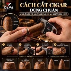 Cách Cắt Cigar Đúng Chuẩn: Cắt Ở Đâu Để Không Bung Lá Và Không Bí Hơi?