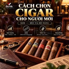 Cách chọn cigar cho người mới: Size, mùi và độ nặng
