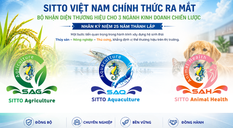 SITTO VIỆT NAM CHÍNH THỨC RA MẮT BỘ NHẬN DIỆN THƯƠNG HIỆU CHO 3 NGÀNH KINH DOANH CHIẾN LƯỢC NHÂN KỶ NIỆM 25 NĂM THÀNH LẬP
