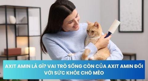 Axit Amin Là Gì? Vai Trò Sống Còn Của Axit Amin Đối Với Sức Khỏe Chó Mèo