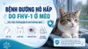 Bệnh đường hô hấp do Feline Herpesvirus – FHV-1 ở mèo
