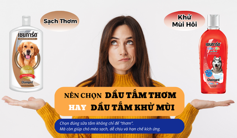 Nên chọn dầu tắm thơm hay khử mùi cho pet?
