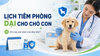 Lịch tiêm phòng dại cho chó con: Khi nào nên tiêm mũi đầu tiên?