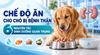 CHẾ ĐỘ ĂN CHO CHÓ BỊ BỆNH THẬN: 6 NGUYÊN TẮC DINH DƯỠNG QUAN TRỌNG