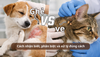 Ghẻ và ve ở chó mèo: Cách nhận biết, phân biệt và xử lý đúng cách