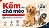 Kẽm cho chó mèo: Vai trò, dấu hiệu thiếu hụt và cách bổ sung đúng