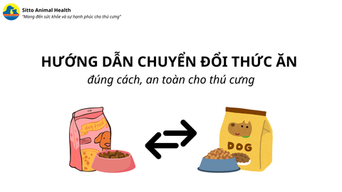 HƯỚNG DẪN CHUYỂN ĐỔI THỨC ĂN ĐÚNG CÁCH - TRÁNH TIÊU CHẢY, BỎ ĂN