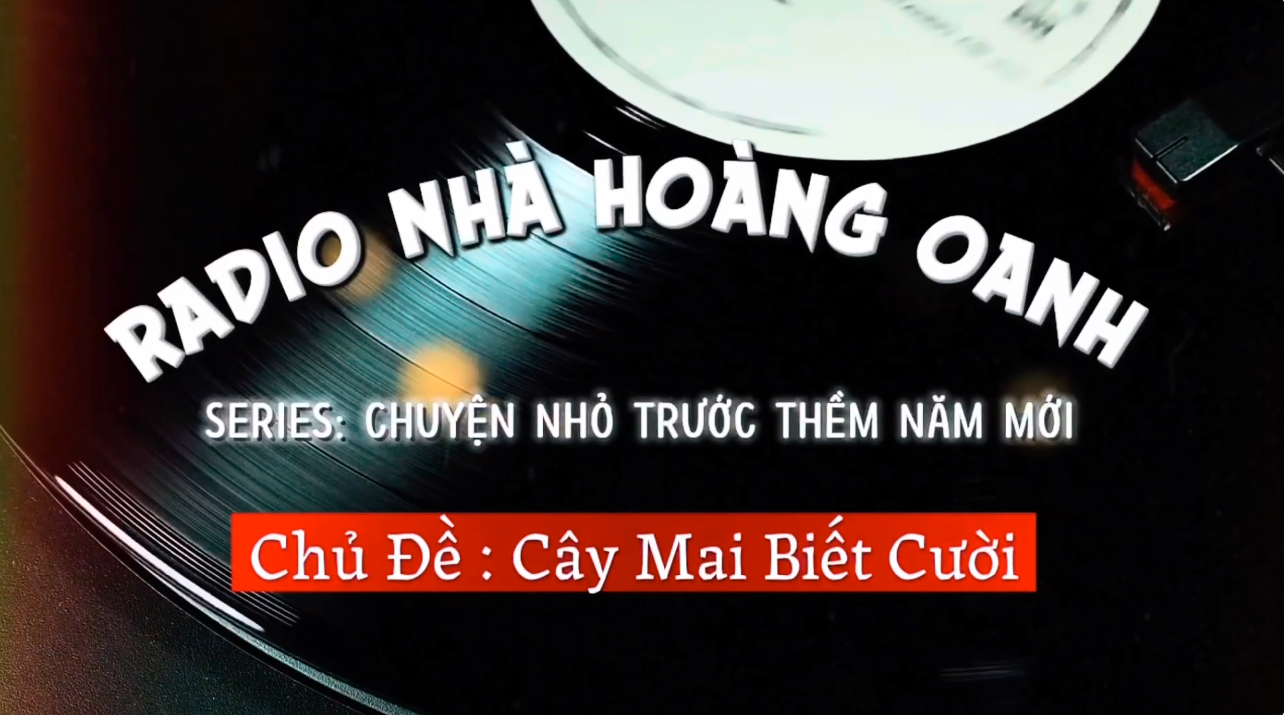 [Số 05] Cây mai biết cười - Chuyện nhỏ trước thềm năm mới