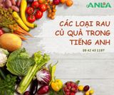 Vocabulary builder: Càn quét tủ lạnh và vườn rau với TỪ VỰNG TIẾNG ANH về rau, củ, quả