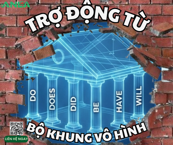 Trợ Động Từ Trong Tiếng Anh: “Bộ Khung Vô Hình” Quyết Định Câu Đúng Hay Sai