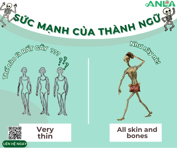 Vẽ Chân Dung Con Người Bằng Ngôn Ngữ – Sức Mạnh Kỳ Diệu Của Thành Ngữ Tiếng Anh