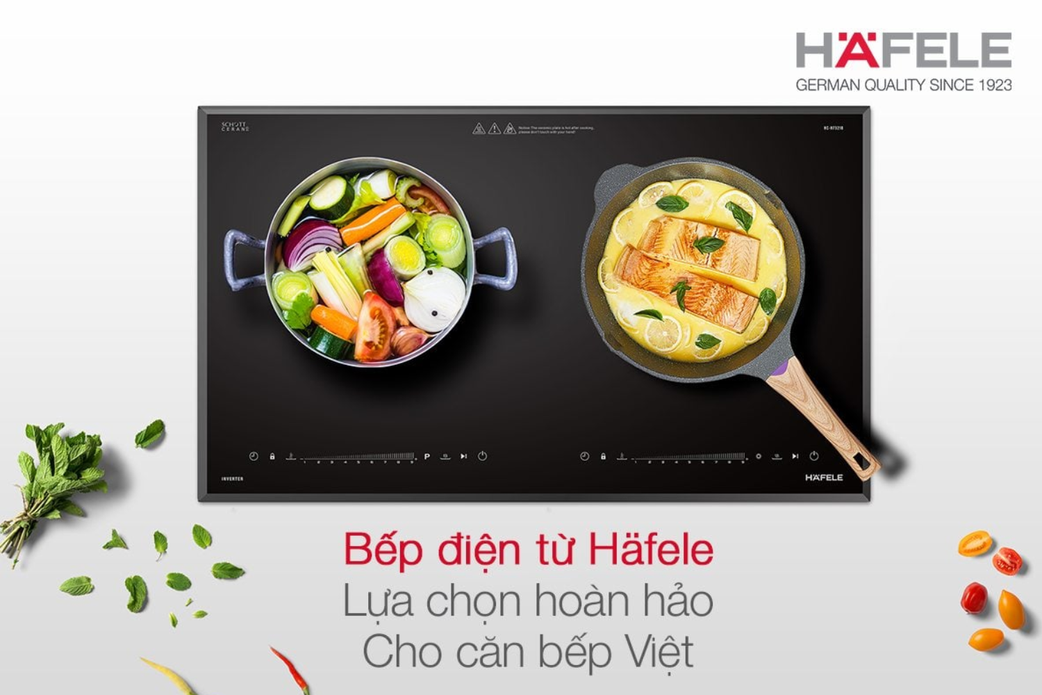 Bếp từ Hafele nằm ở phân khúc trung và cao cấp