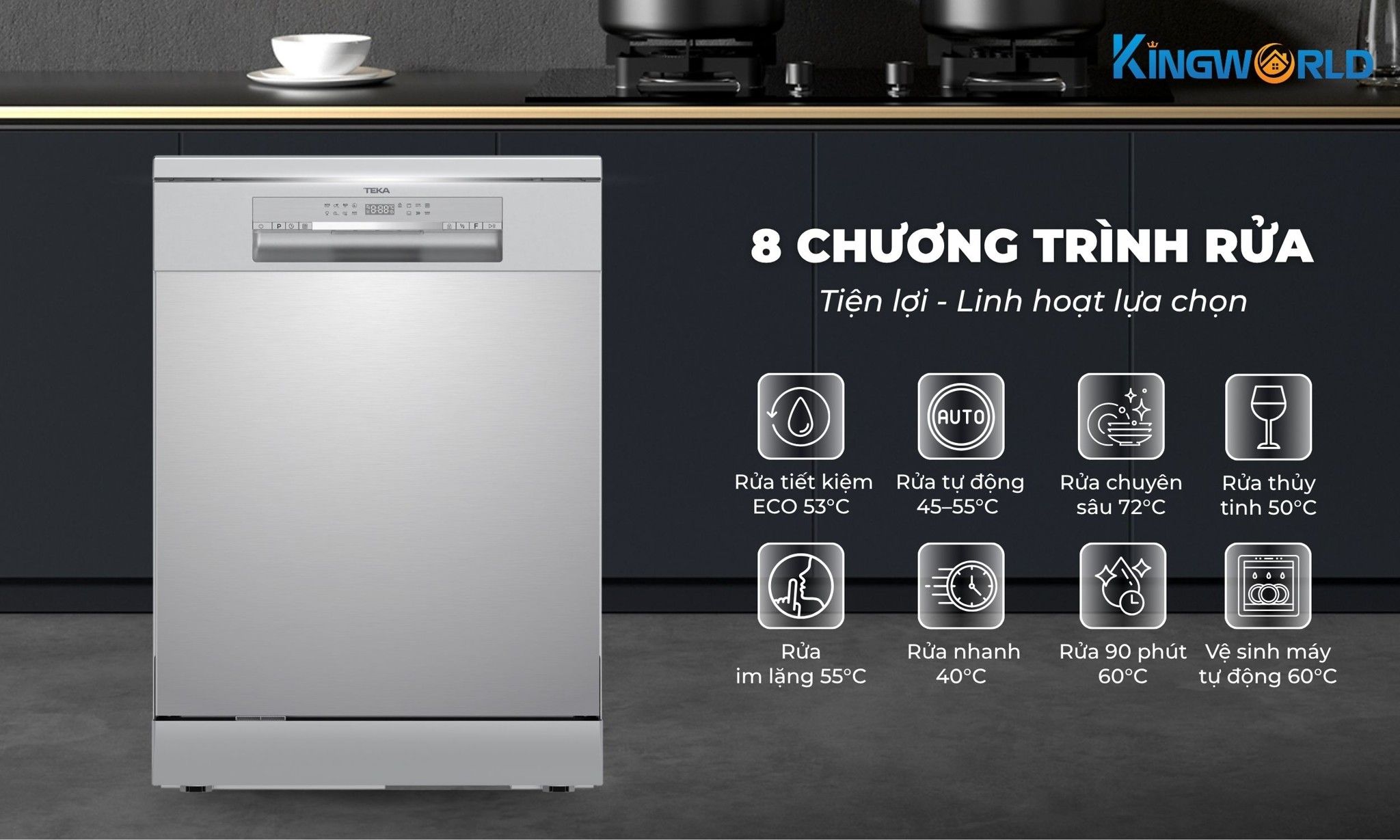 Máy rửa chén Teka DFS 650ZX-TSEA trang bị 8 chương trình rửa tiện lợi