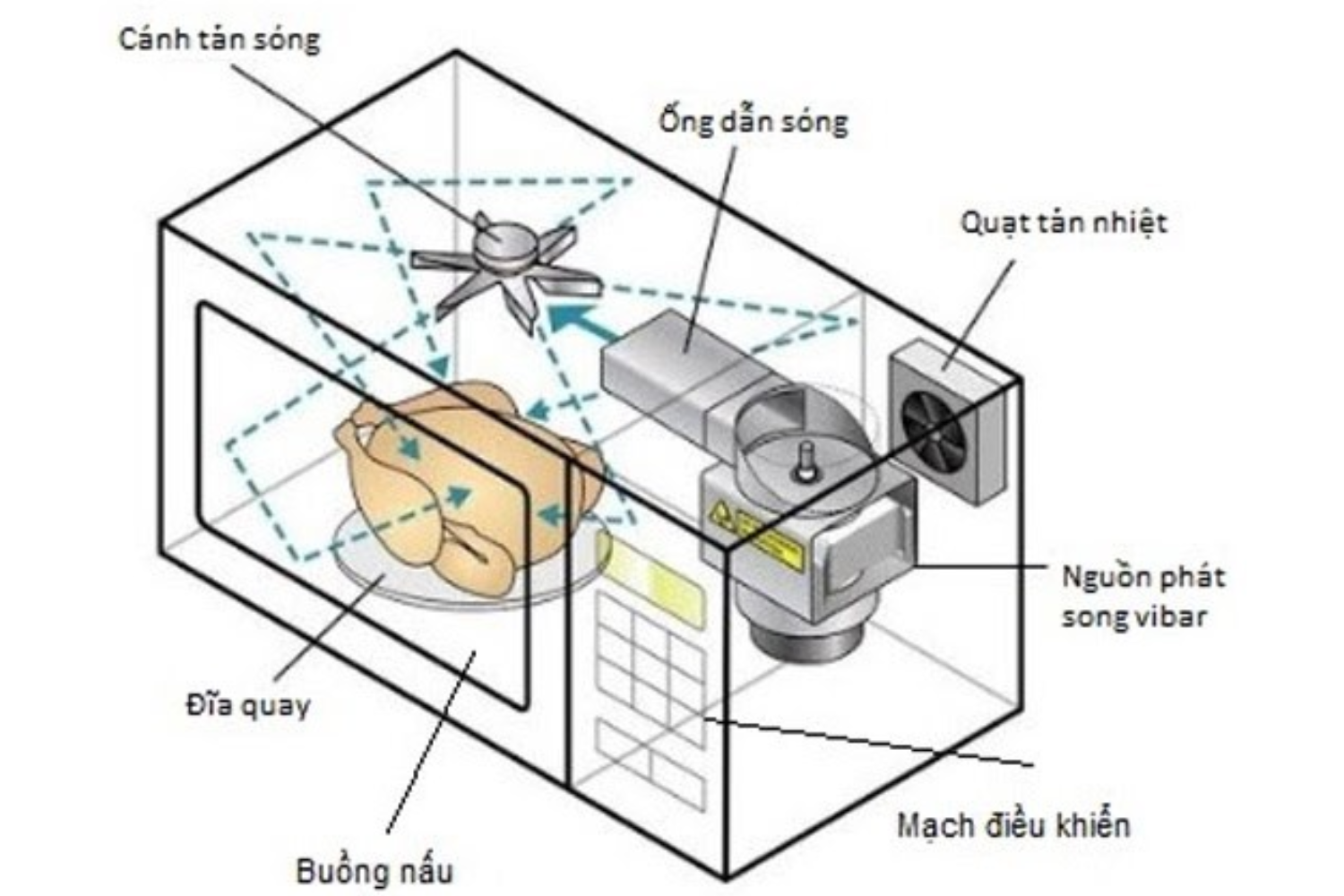 Một chiếc lò vi sóng hiện đại là sự kết hợp tinh tế giữa nhiều bộ phận quan trọng