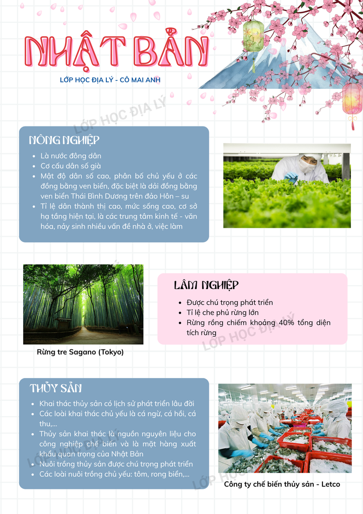 Địa lí 11 - SƠ ĐỒ TƯ DUY bài NHẬT BẢN (P2) | Lớp học Địa lý cô Mai Anh