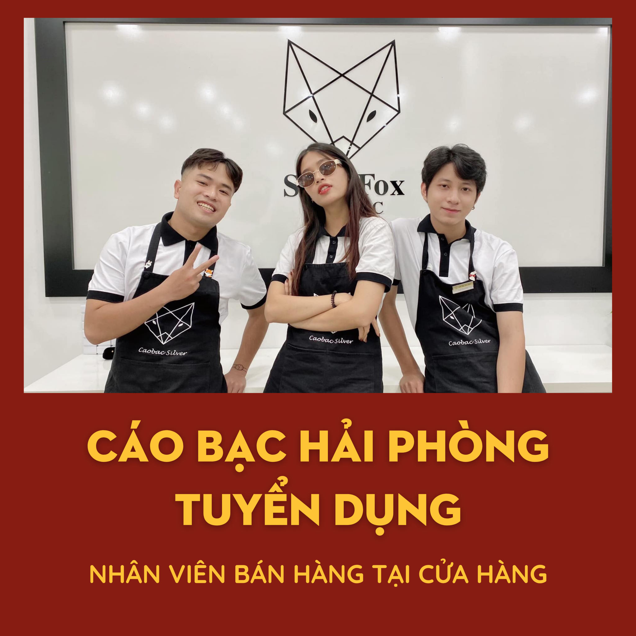 CÁO BẠC HẢI PHÒNG TÌM NVBH trang sức (chat Pancake)