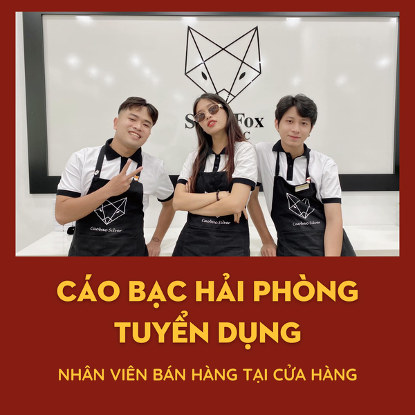 CÁO BẠC HẢI PHÒNG TÌM NVBH trang sức (chat Pancake)