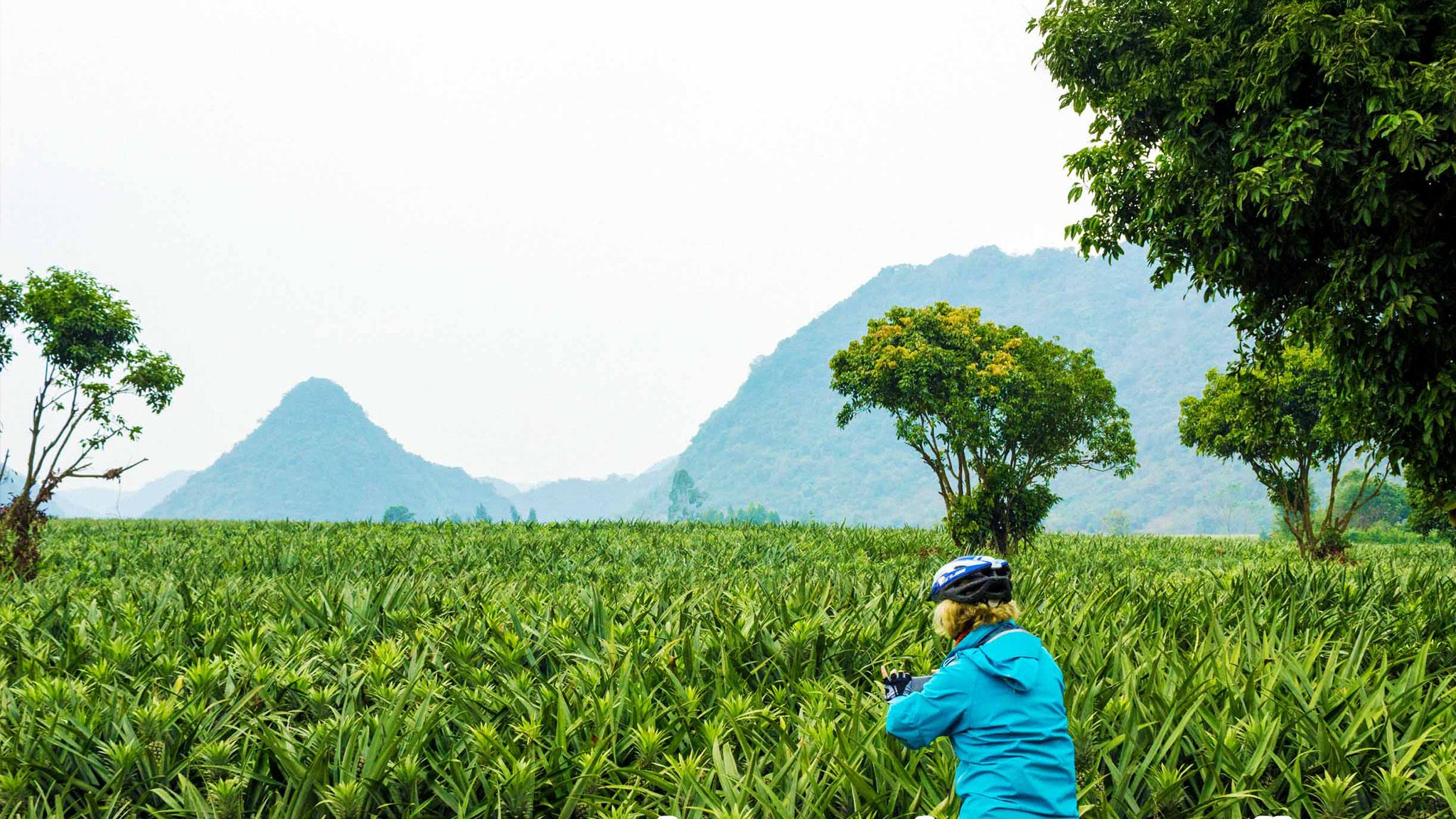 A JOURNEY SHAPED BY CONNECTION