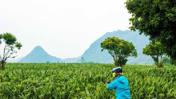 A JOURNEY SHAPED BY CONNECTION