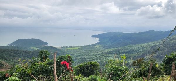 CYCLING FROM COAST TO HIGHLANDS ON VIETNAM’S OPEN ROADS