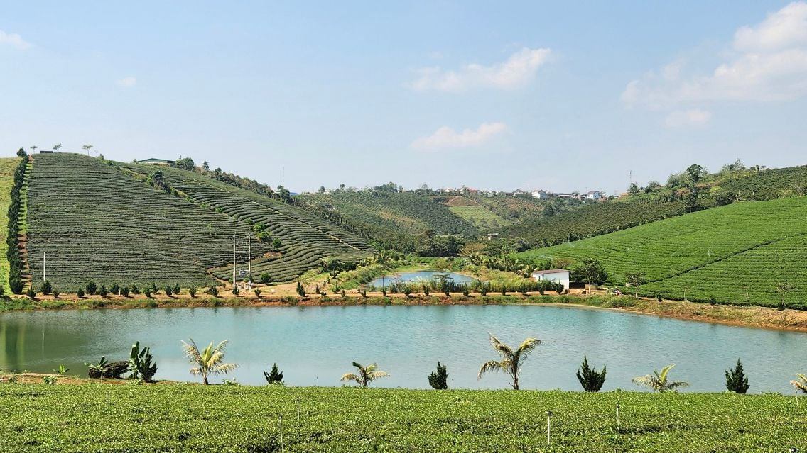 FLAVORS OF THE HEART: A CULINARY JOURNEY THROUGH INDOCHIN