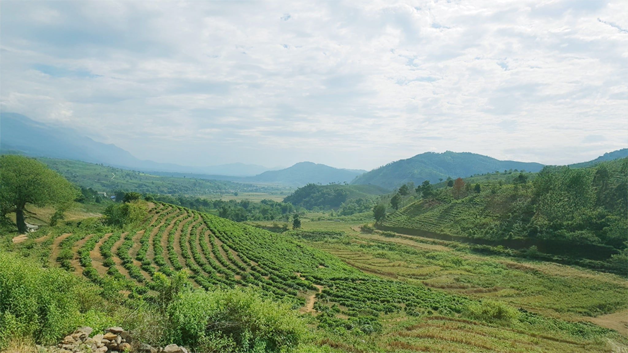 BICYCLE TOUR VIETNAM TO LAOS: ADVENTURE CYCLING THROUGH GREEN HILLS AND QUIET RIVERS