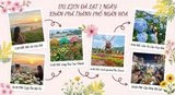 Du Lịch Đà Lạt 1 Ngày Nên Đi Đâu - Khám Phá Thành Phố Ngàn Hoa