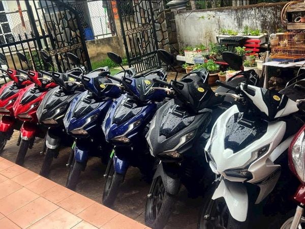 Thuê Xe Máy Đà Lạt Giá Rẻ – Dịch Vụ Thuê Xe Vision, Xe Ga, Xe Số Uy Tín Tại StayDalat