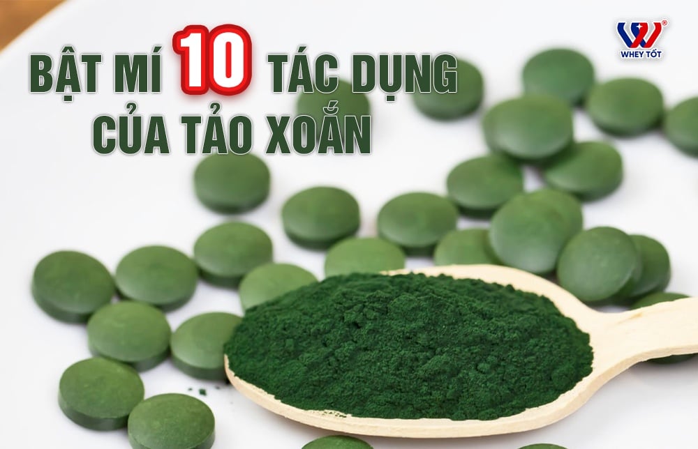 Bật Mí 10 Tác Dụng Vàng Của Tảo Xoắn Spirulina Cho Sức Khỏe