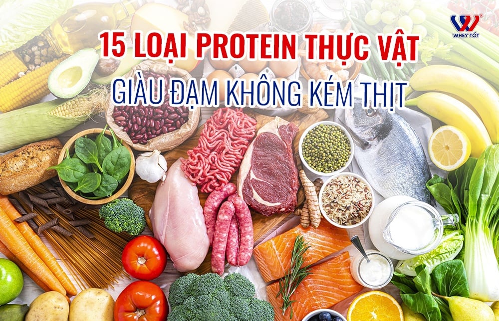 15 thực phẩm giàu protein thực vật nhiều đạm không kém thịt