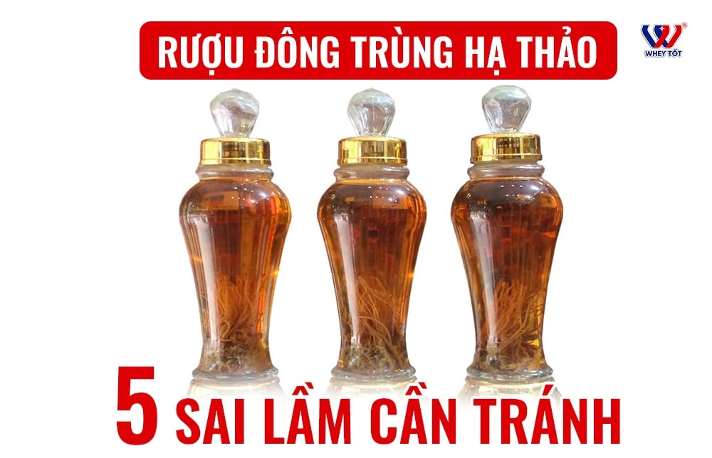 Rượu đông trùng hạ thảo: cách ngâm đúng tỷ lệ và 5 sai lầm cần tránh