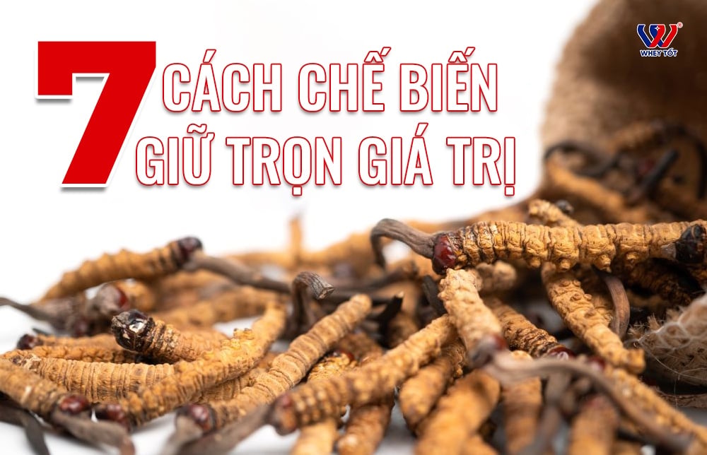Cách sử dụng đông trùng hạ thảo: 7 cách chế biến giữ trọn giá trị