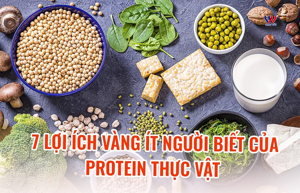 Protein thực vật là gì và 7 lợi ích vàng ít người biết