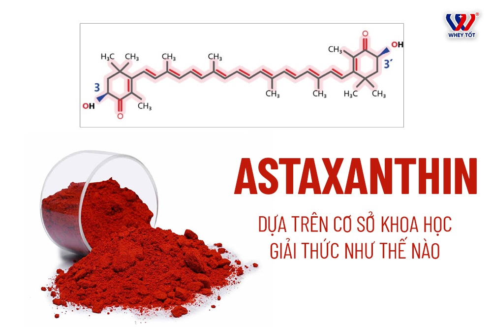 Astaxanthin Là Gì - Vua Chống Oxy Hóa Mạnh Gấp 6000 Lần Vitamin C