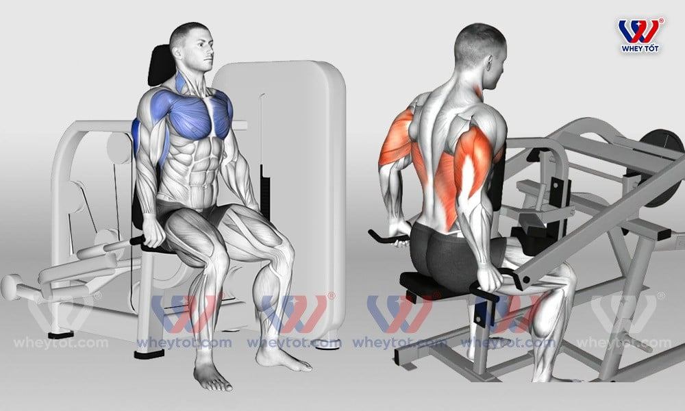 Top 9 bài tập tay sau cho nam tốt nhất giúp đôi tay vạm vỡ, to khỏe