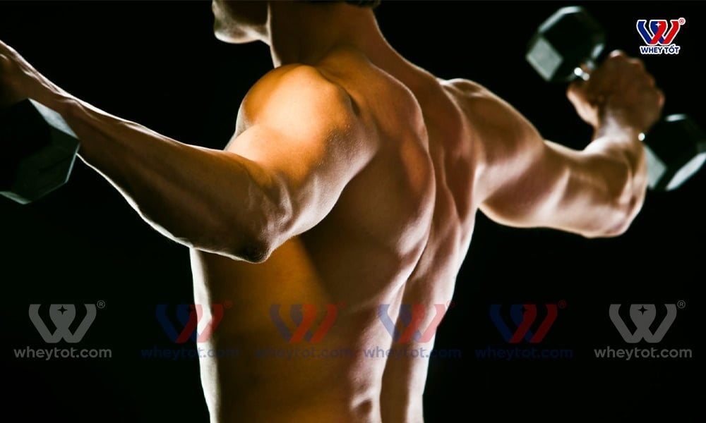Top các bài tập vai cho nam giúp đôi vai to dày nhanh, chắc khỏe