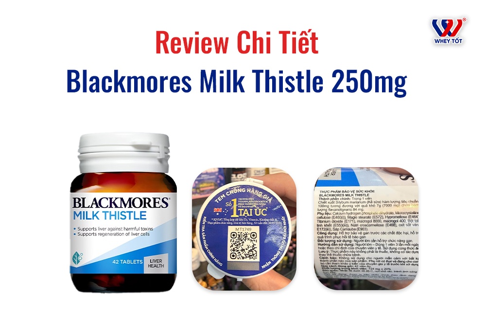 Viên Uống Blackmores Milk Thistle 250mg - Review Chi Tiết Từ Chuyên Gia