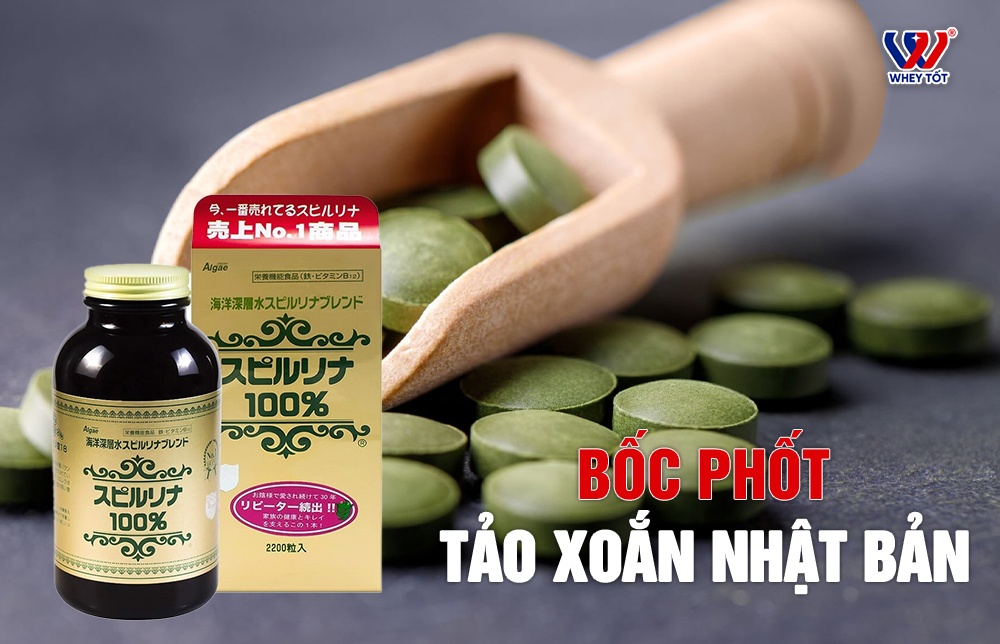 Bột Tảo Xoắn Spirulina Toàn Bộ Sự Thật Về Công Dụng Cách Pha
