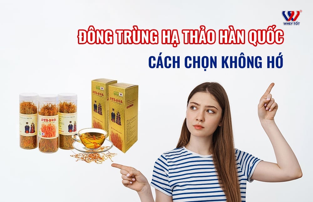 Đông trùng hạ thảo Hàn Quốc: dạng nước, hộp quà và cách chọn không hớ
