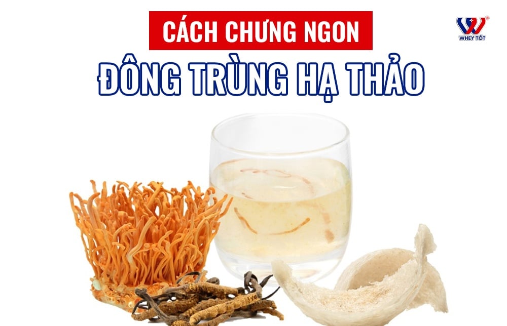 Yến chưng đông trùng hạ thảo, cách chưng ngon và thời điểm nên dùng