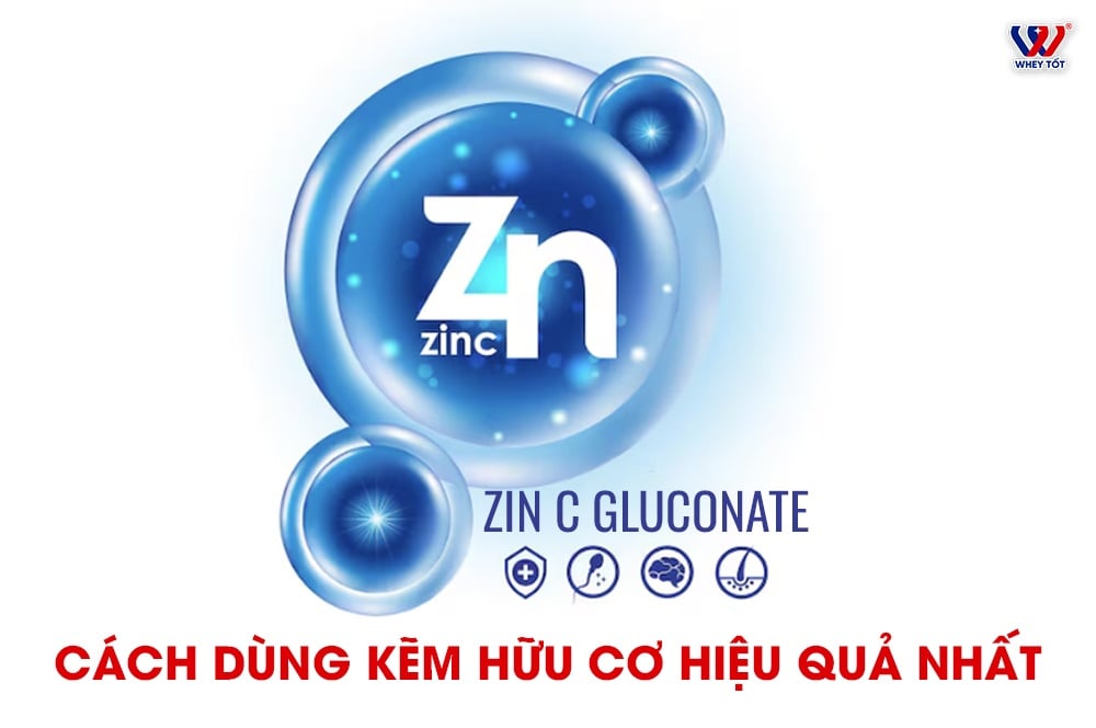 Zinc Gluconate Là Gì Cách Dùng Thuốc Kẽm Hữu Cơ Hiệu Quả Nhất