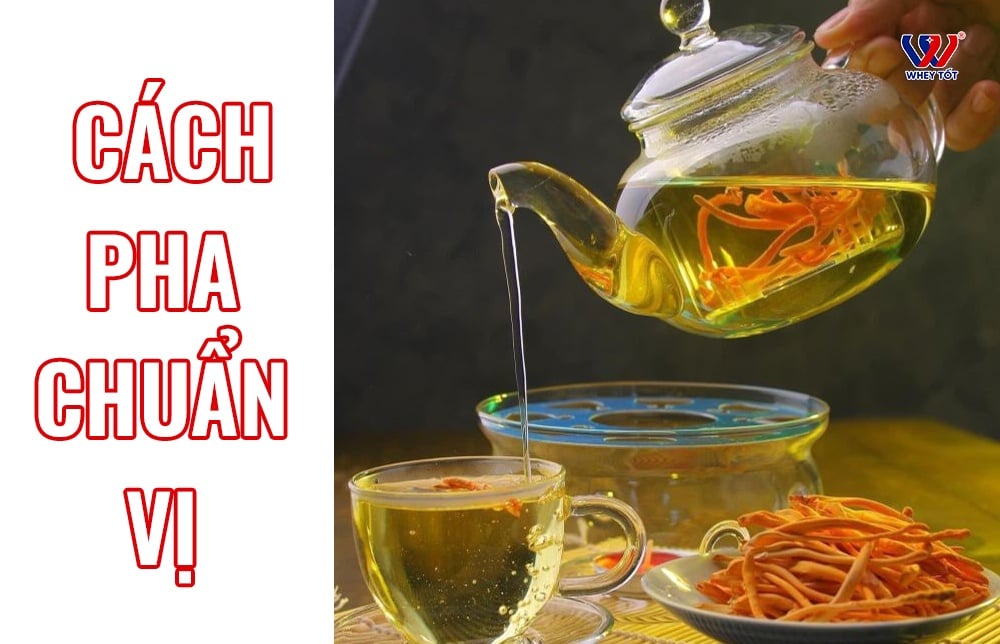 Trà đông trùng hạ thảo: cách pha chuẩn vị và 5 điều nên biết khi uống