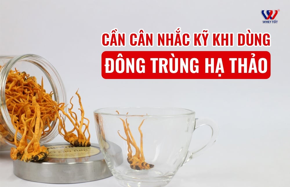Ai không nên dùng đông trùng hạ thảo? 7 nhóm người cần cân nhắc kỹ