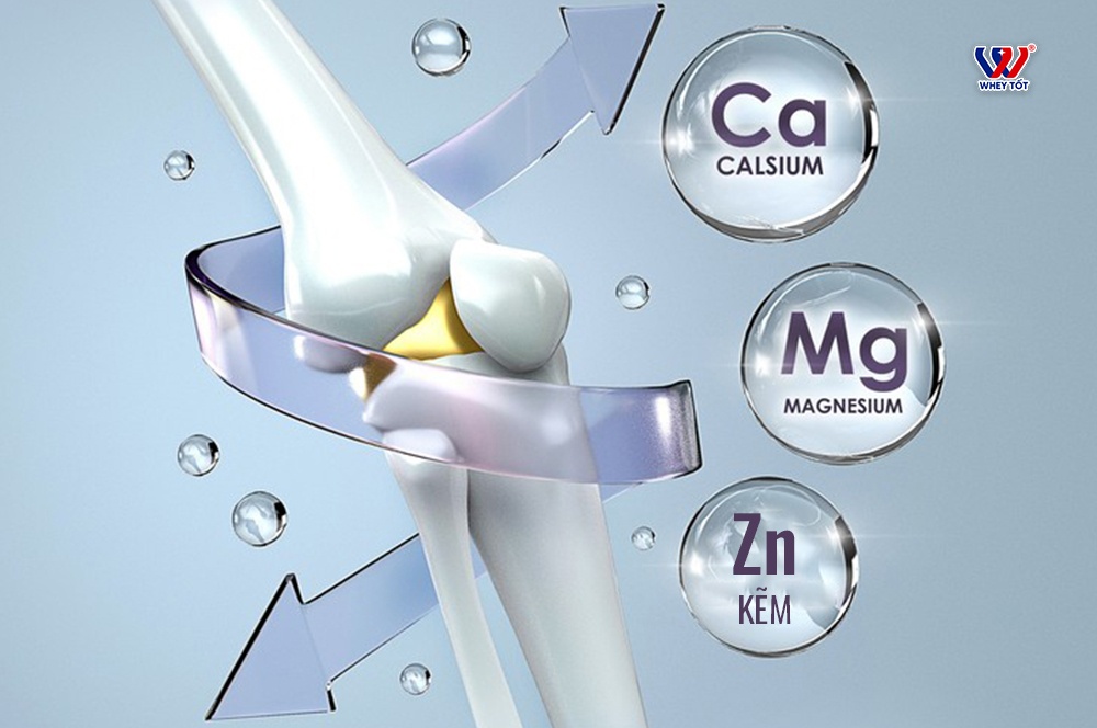 Kết Hợp Canxi Magie Kẽm Giải Pháp Toàn Diện Cho Xương Khớp