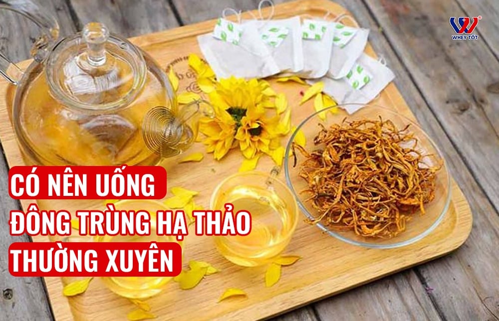 Có nên uống đông trùng hạ thảo thường xuyên không? Chuyên gia giải đáp