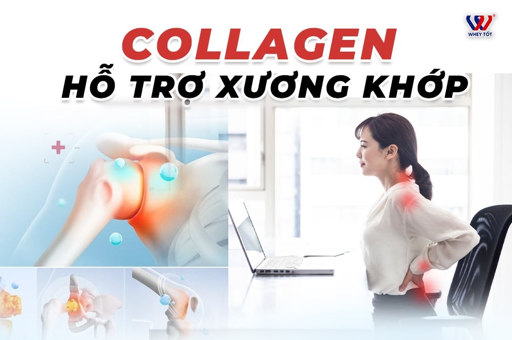 Giải đáp chi tiết công dụng của collagen hỗ trợ xương khớp