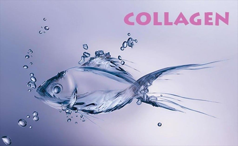 10 lợi ích của Collagen Biển (Collagen Marine) mà bạn cần biết