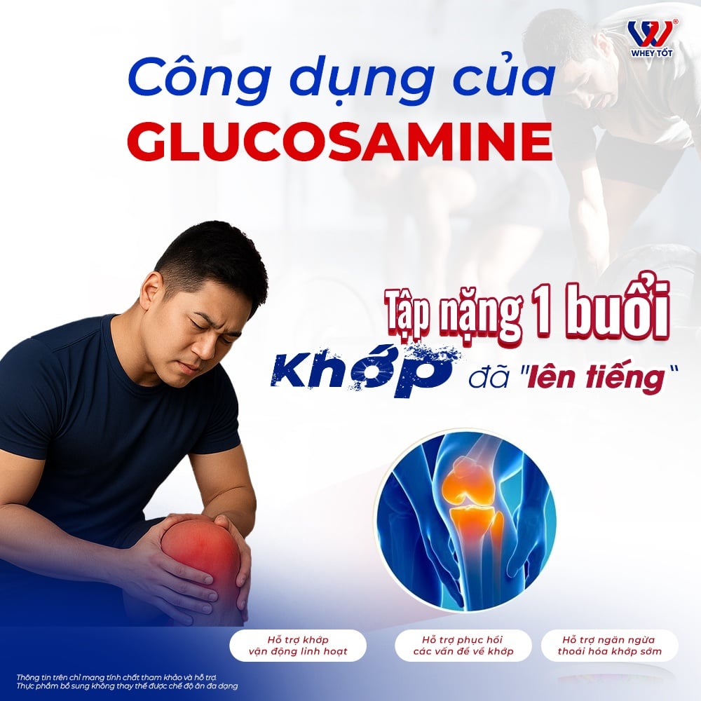 Glucosamine Là Gì - Tổng Hợp Công Dụng Và Lưu Ý Khi Sử Dụng